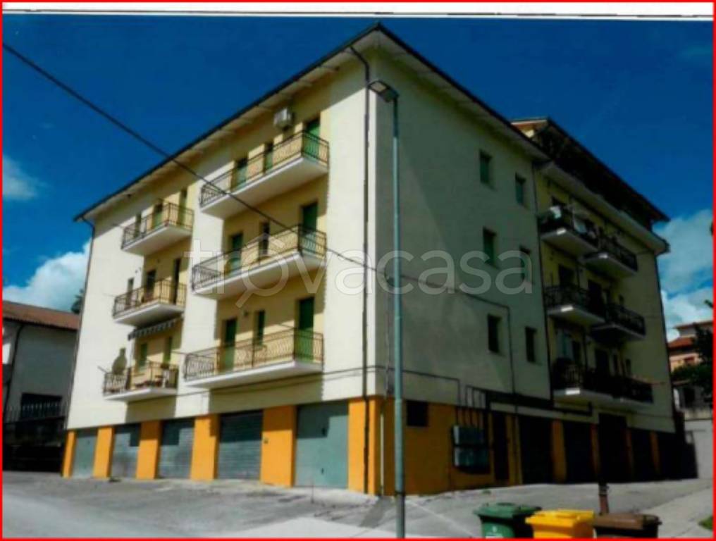 immagine annuncio 1 di 12