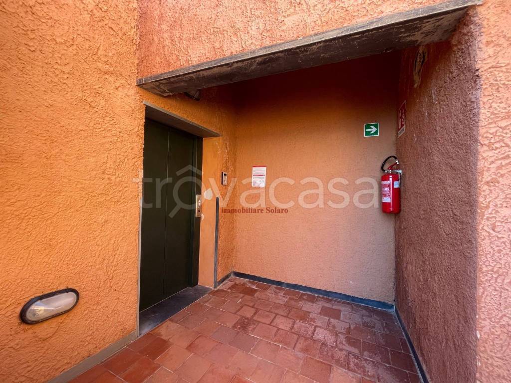 immagine annuncio 2 di 7