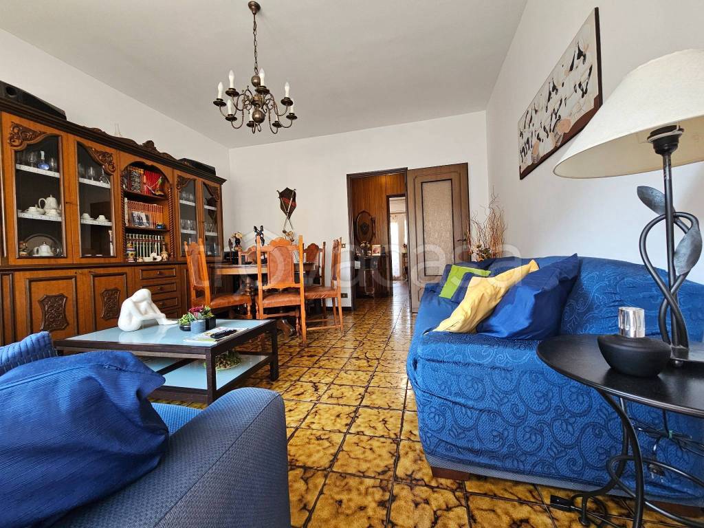 immagine annuncio 3 di 14