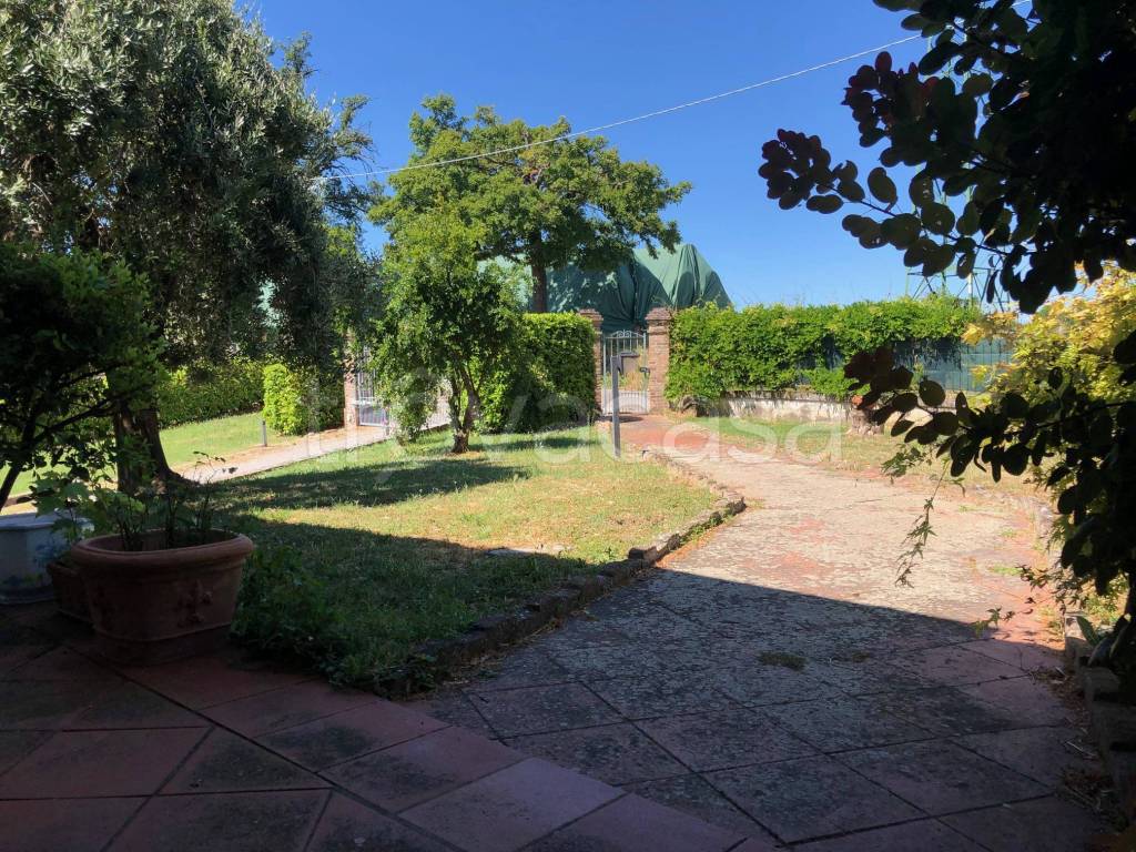 immagine annuncio 5 di 6