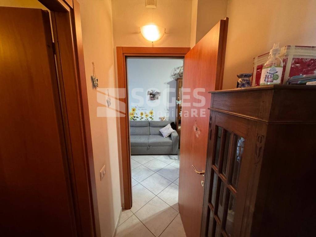 immagine annuncio 6 di 14