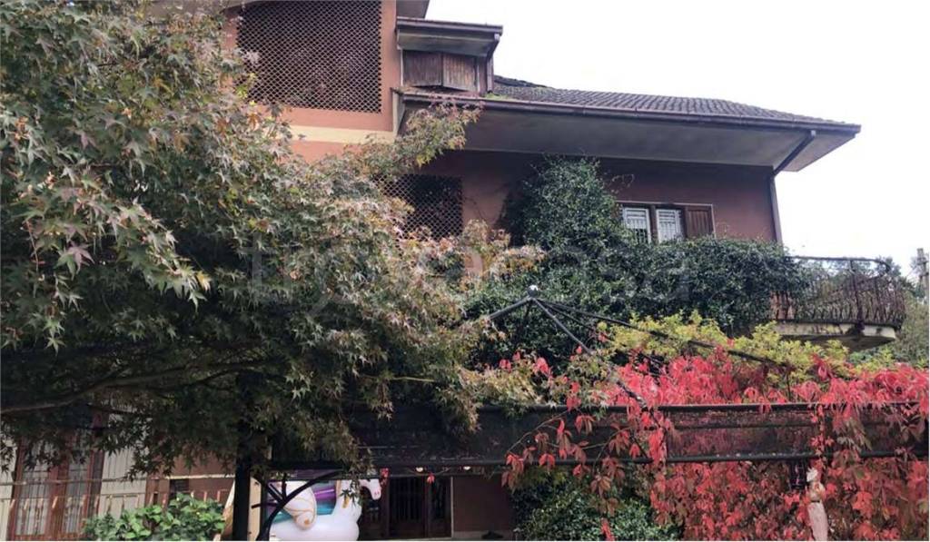 immagine annuncio 6 di 7