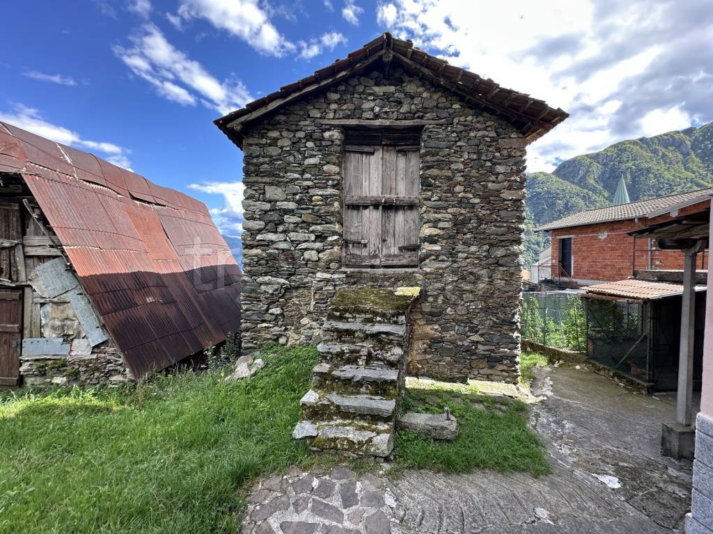 immagine annuncio 2 di 14