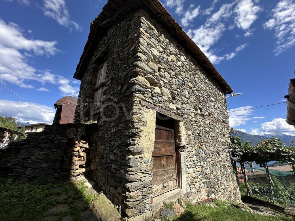 immagine annuncio 10 di 14