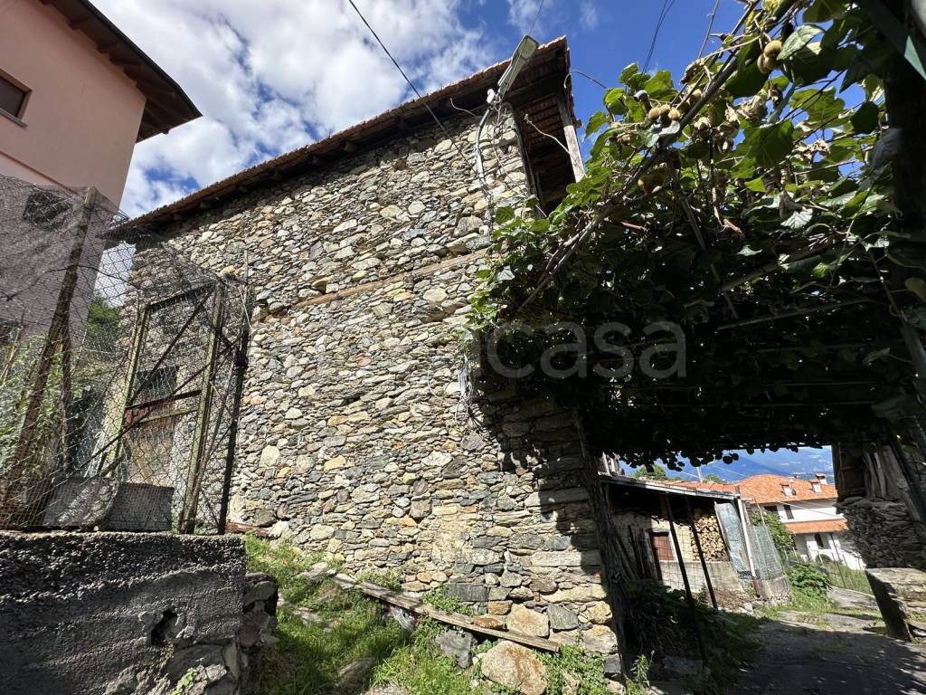 immagine annuncio 11 di 14