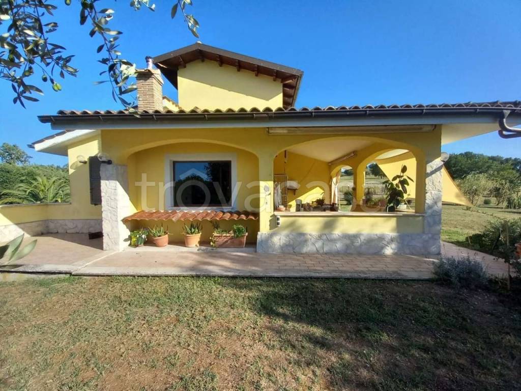 immagine annuncio 1 di 14