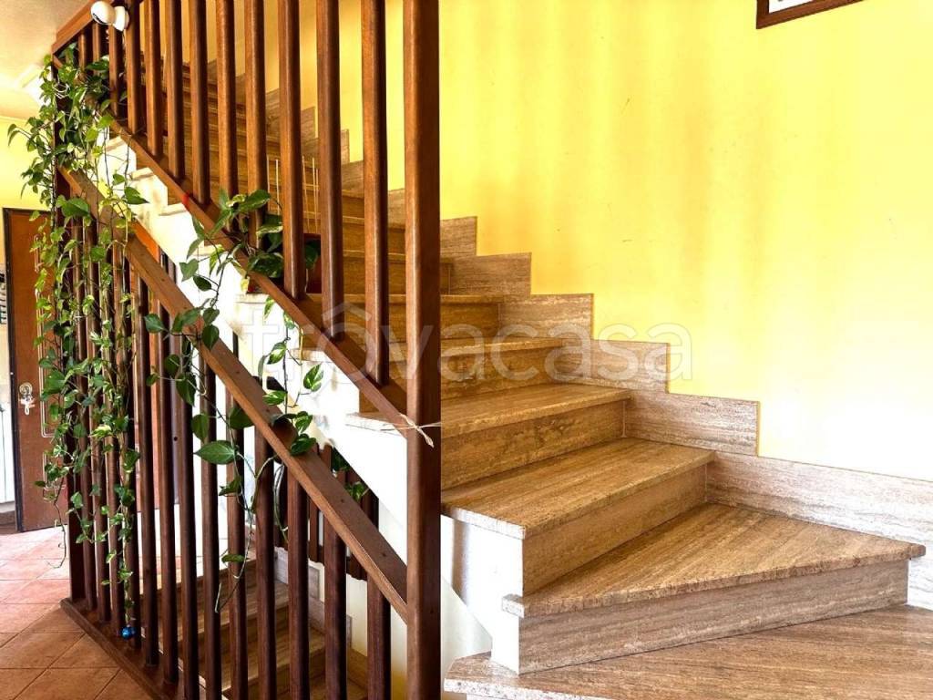 immagine annuncio 11 di 14