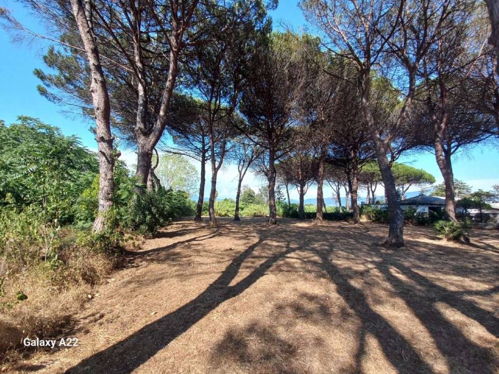 immagine annuncio 5 di 6
