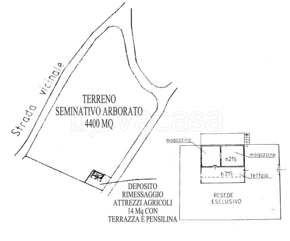 immagine annuncio 2 di 4