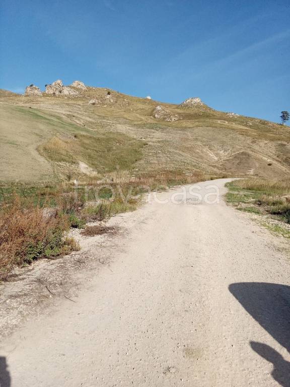 immagine annuncio 3 di 14