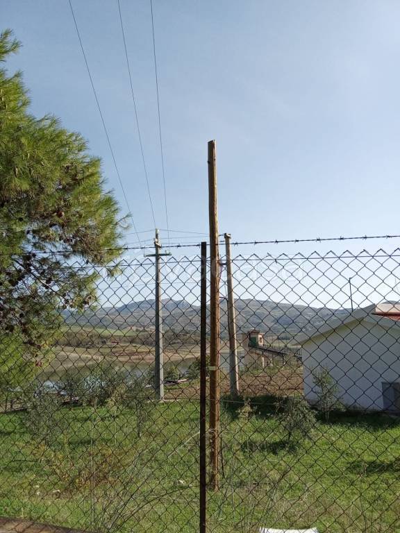 immagine annuncio 11 di 14