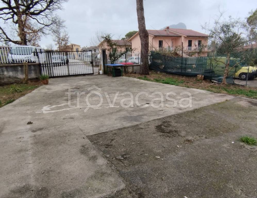 immagine annuncio 12 di 14