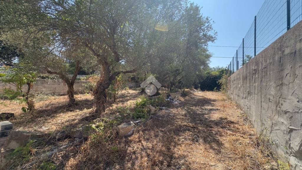 immagine annuncio 6 di 9