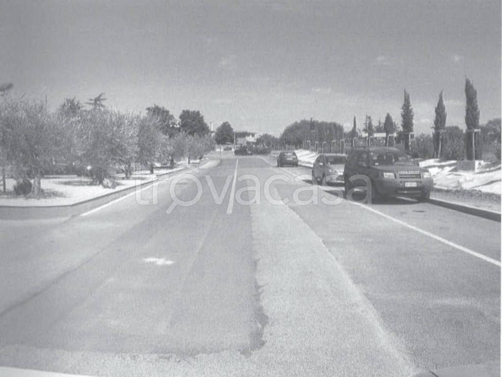 immagine annuncio 11 di 12