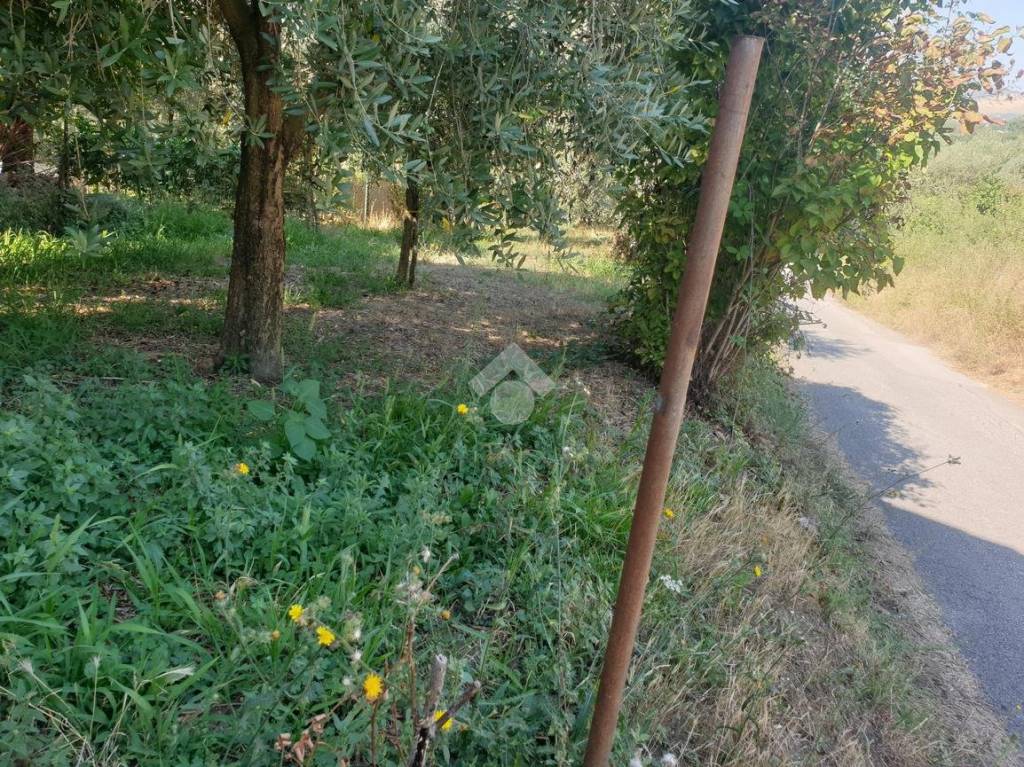immagine annuncio 6 di 14