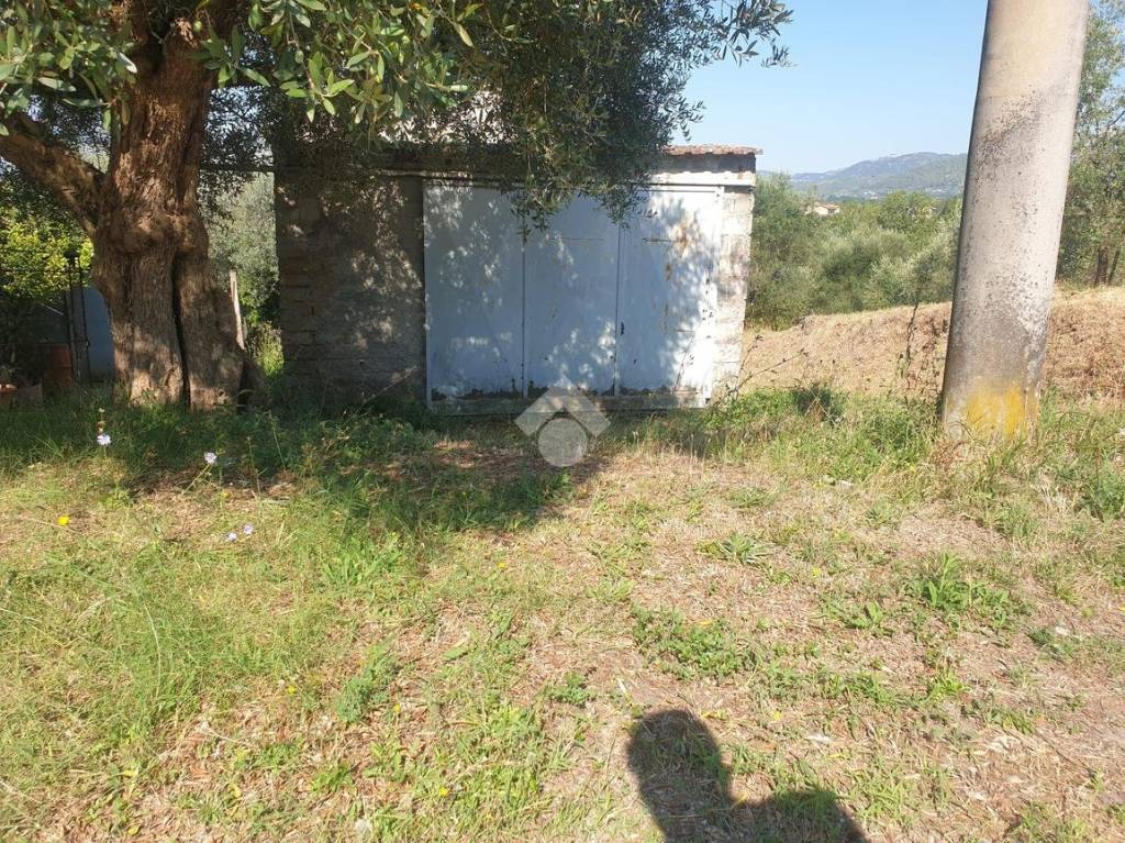 immagine annuncio 7 di 14