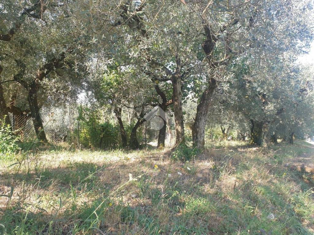 immagine annuncio 8 di 14