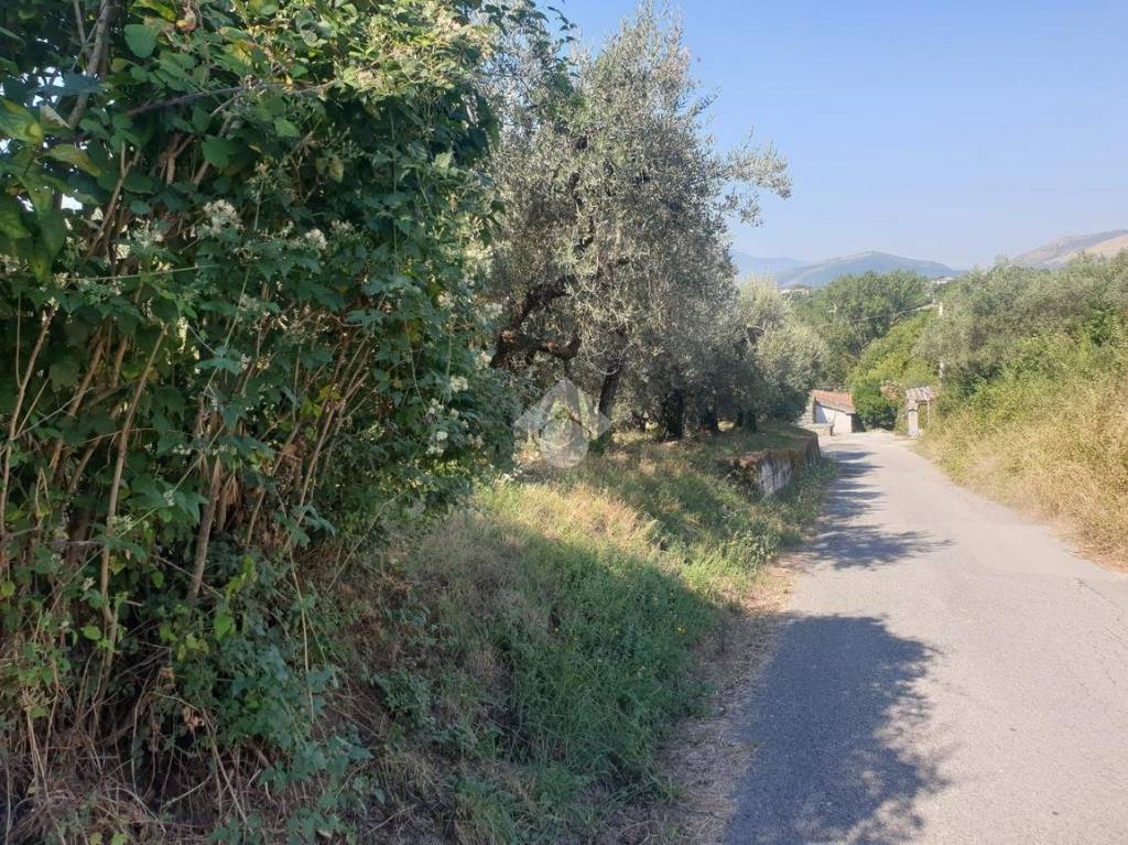 immagine annuncio 9 di 14