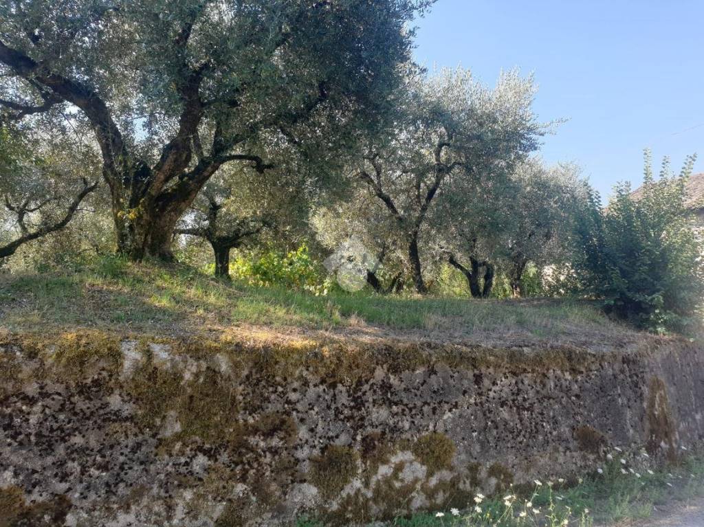 immagine annuncio 11 di 14