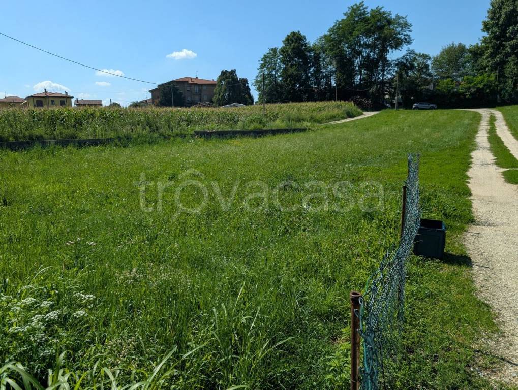 immagine annuncio 5 di 10