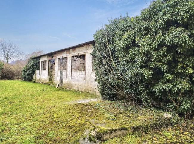 immagine annuncio 5 di 13