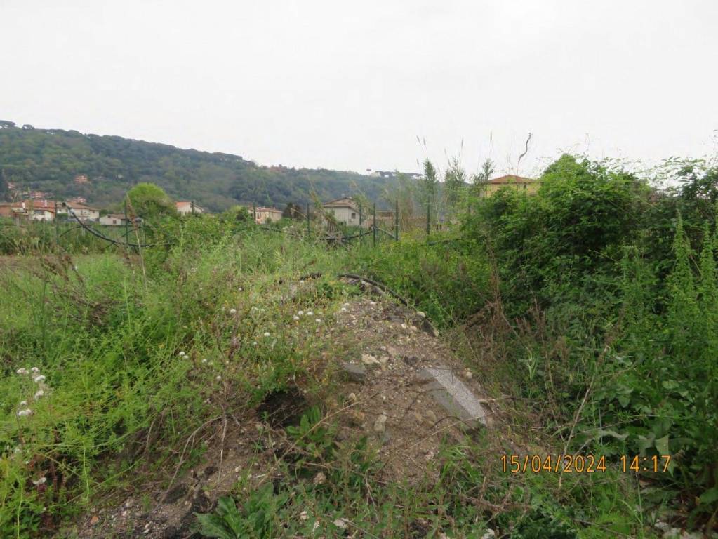 immagine annuncio 9 di 13