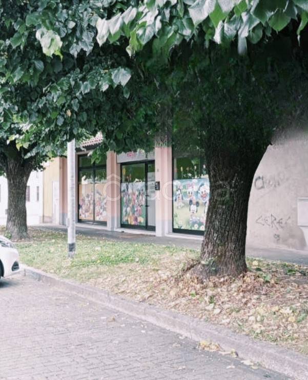 immagine annuncio 2 di 13