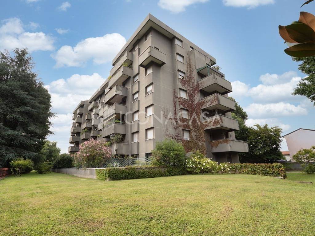 immagine annuncio 4 di 15