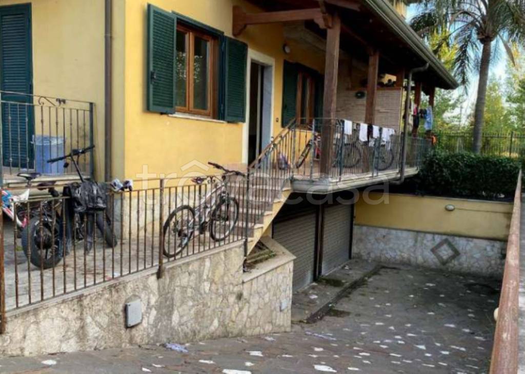 immagine annuncio 12 di 13