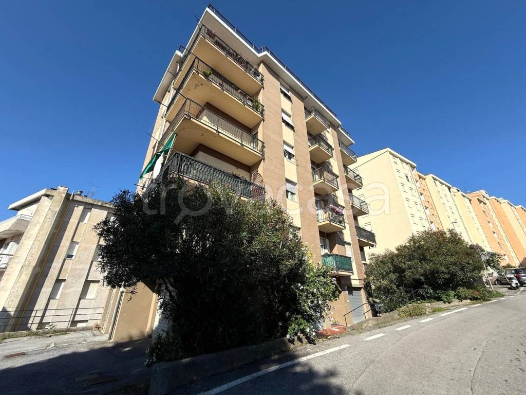 immagine annuncio 5 di 14