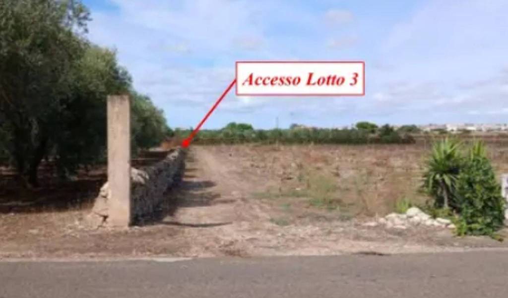 immagine annuncio 3 di 11