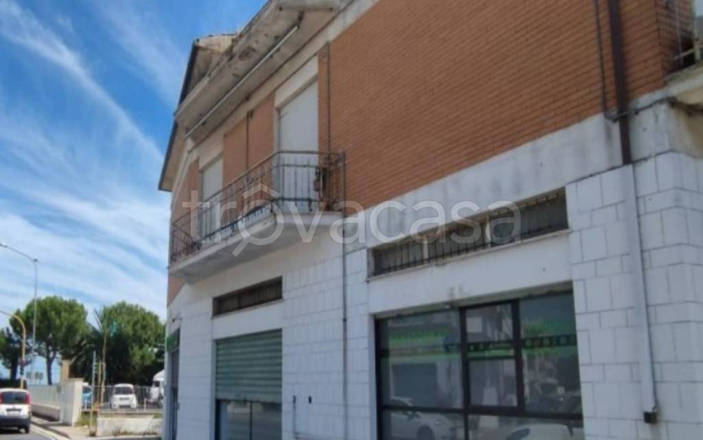 immagine annuncio 2 di 11