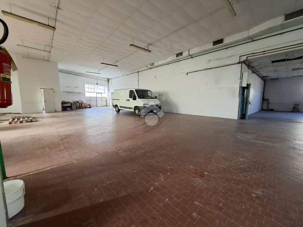 immagine annuncio 13 di 15