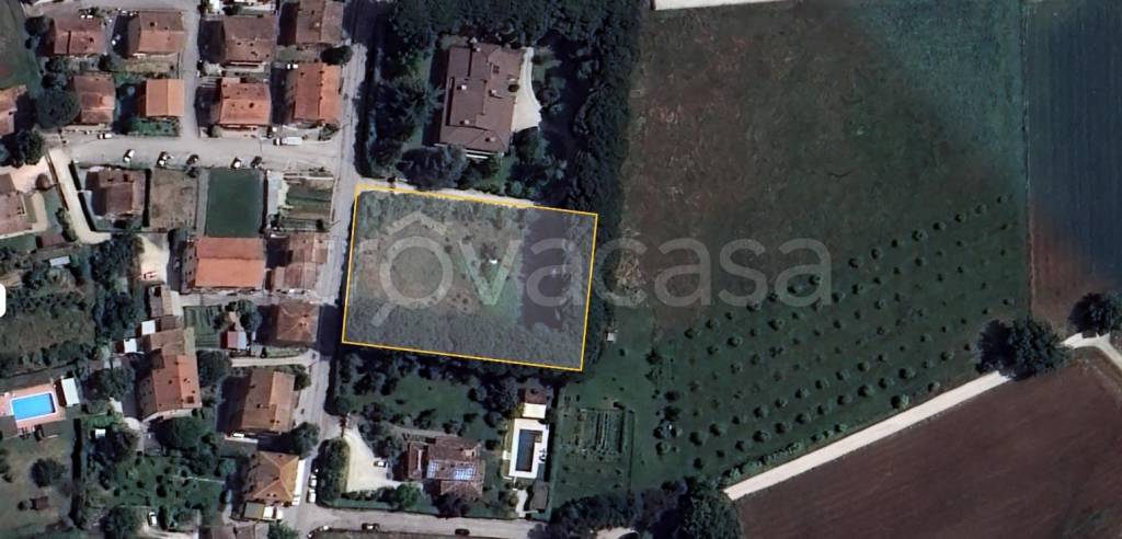 immagine annuncio 3 di 6