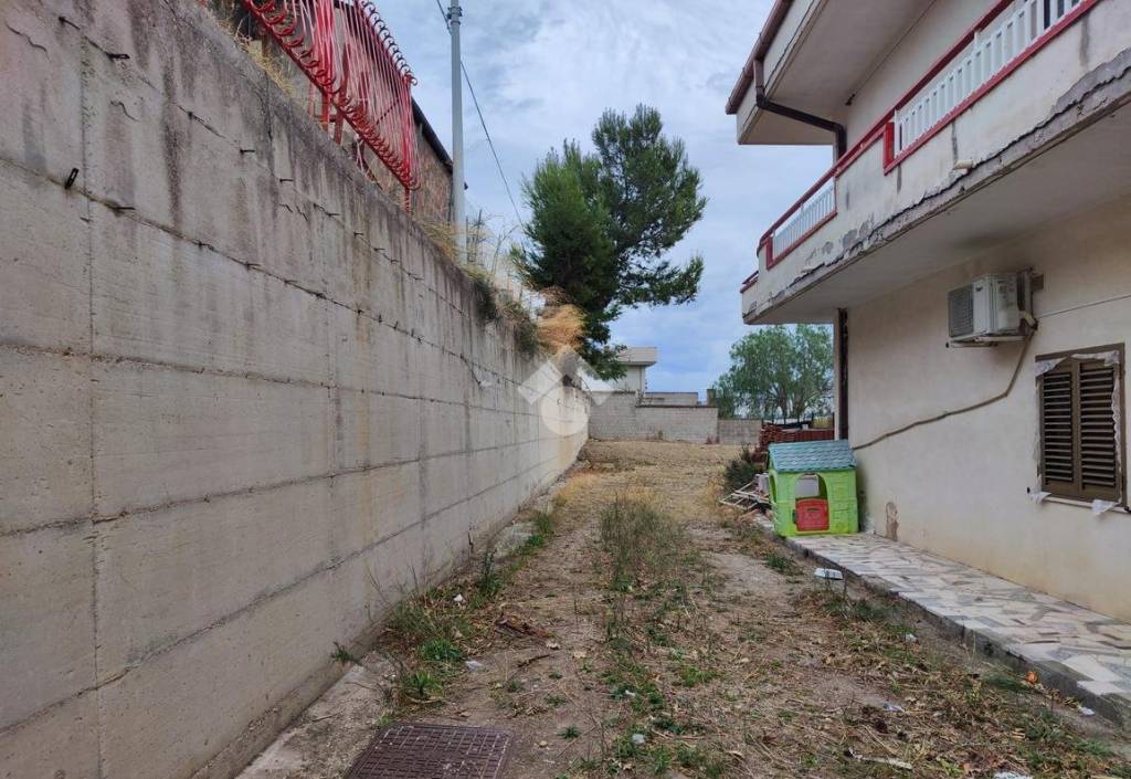 immagine annuncio 1 di 8