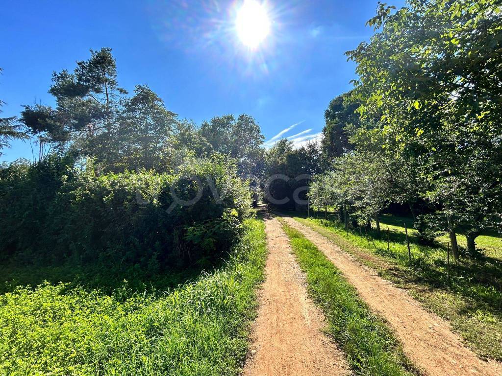 immagine annuncio 3 di 14