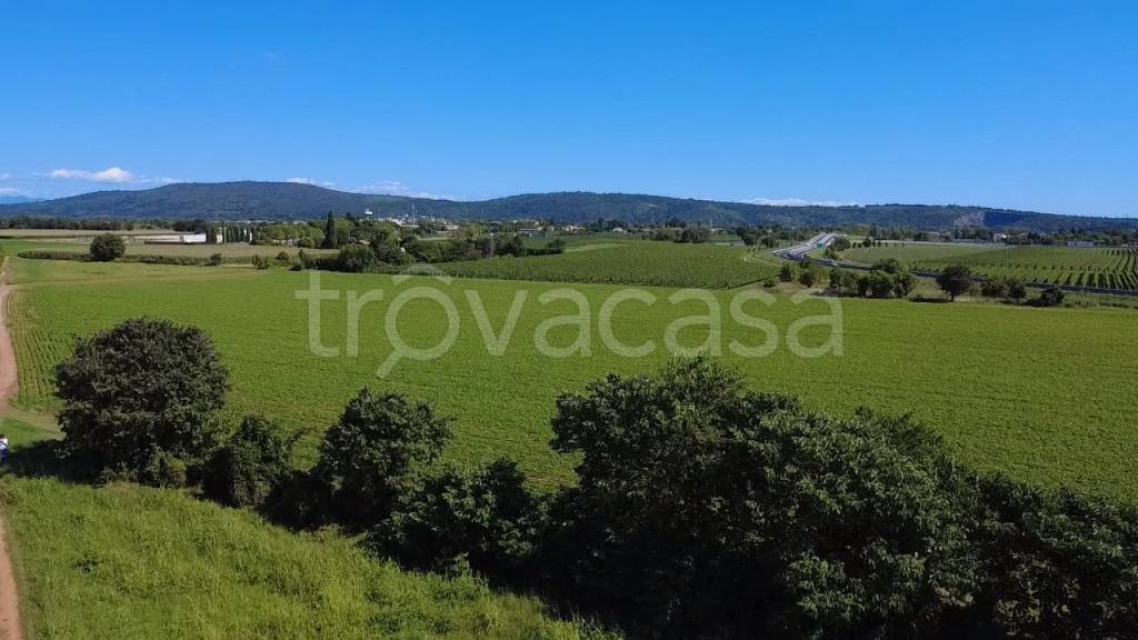 immagine annuncio 9 di 14