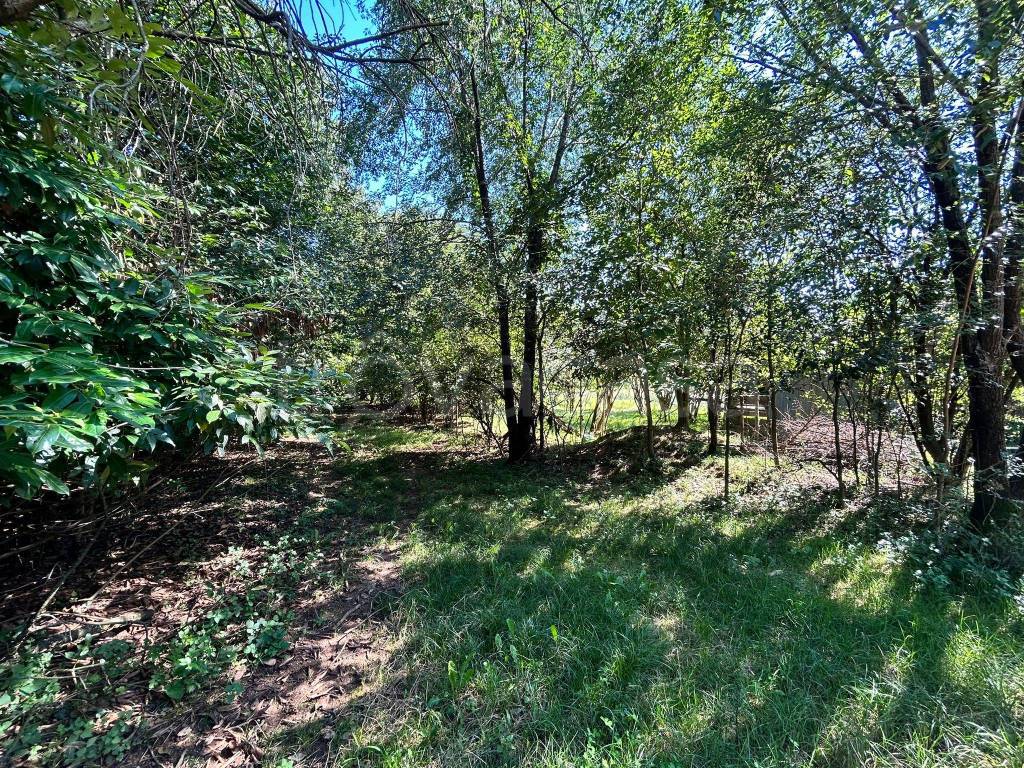 immagine annuncio 2 di 14