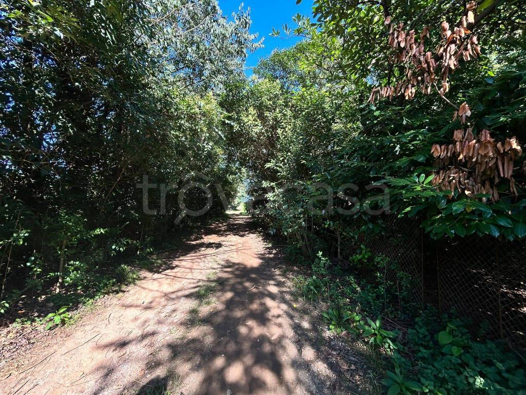 immagine annuncio 11 di 14