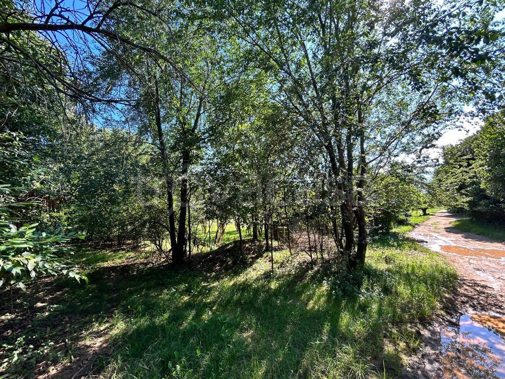 immagine annuncio 5 di 14