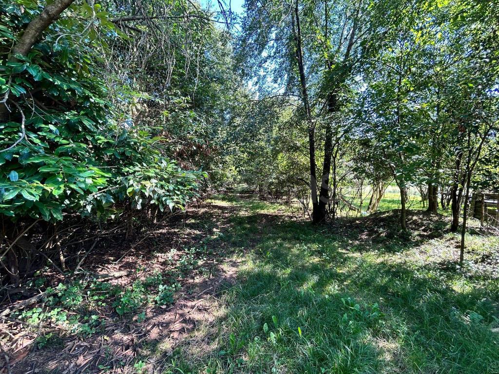 immagine annuncio 6 di 14