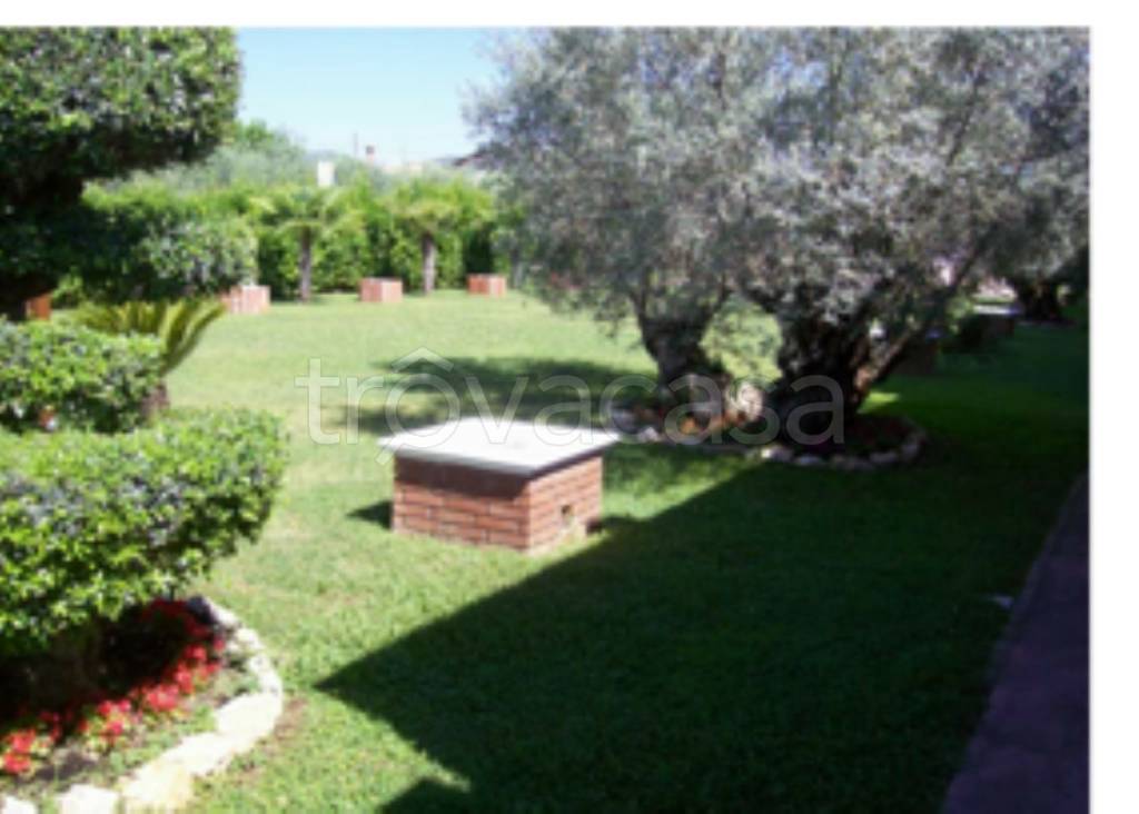 immagine annuncio 3 di 11