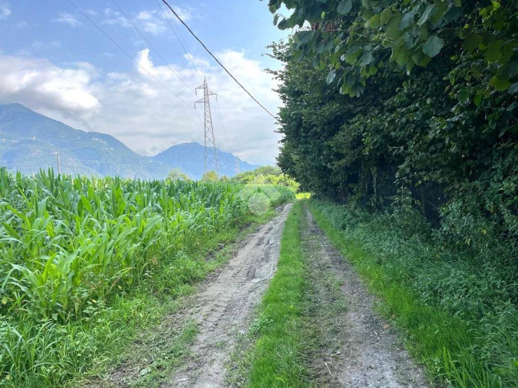 immagine annuncio 3 di 14