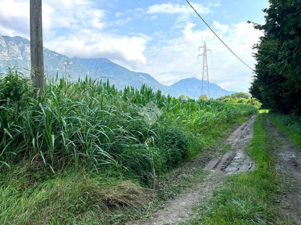 immagine annuncio 6 di 14