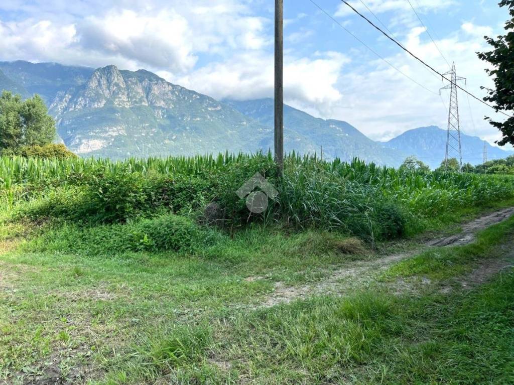 immagine annuncio 7 di 14