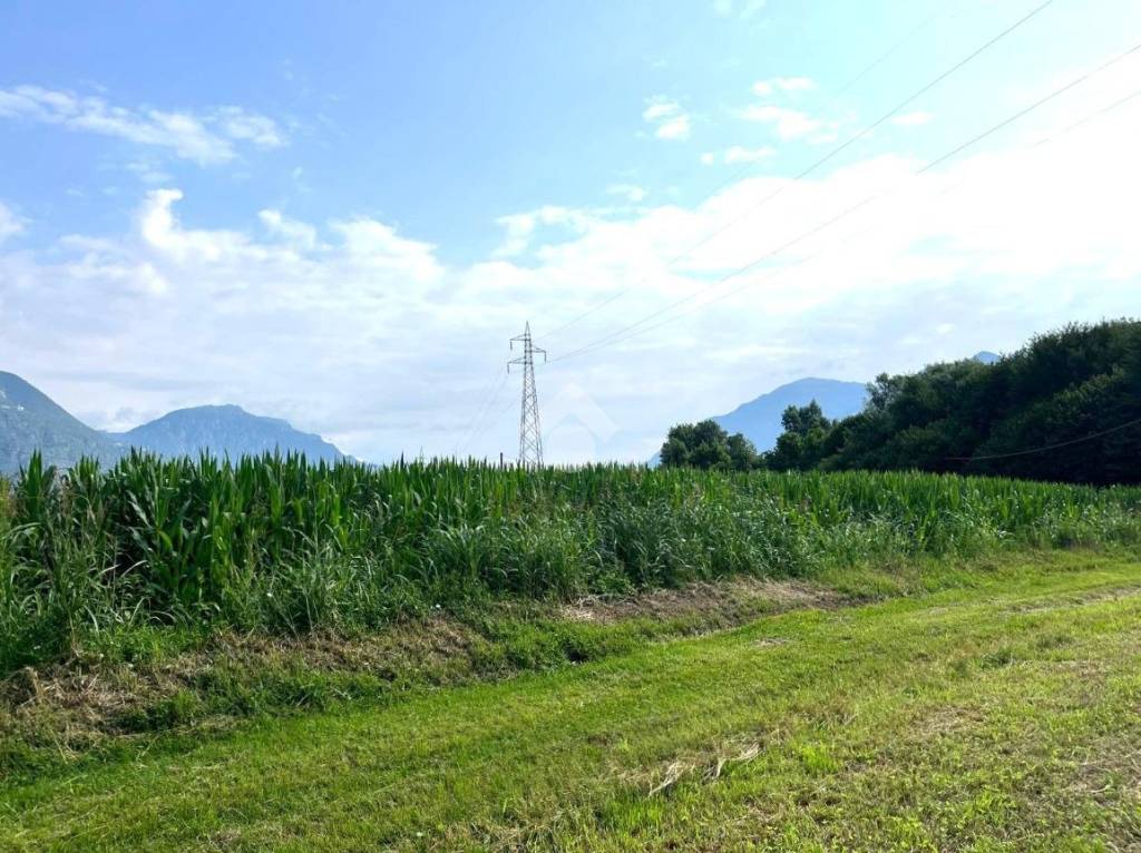 immagine annuncio 9 di 14