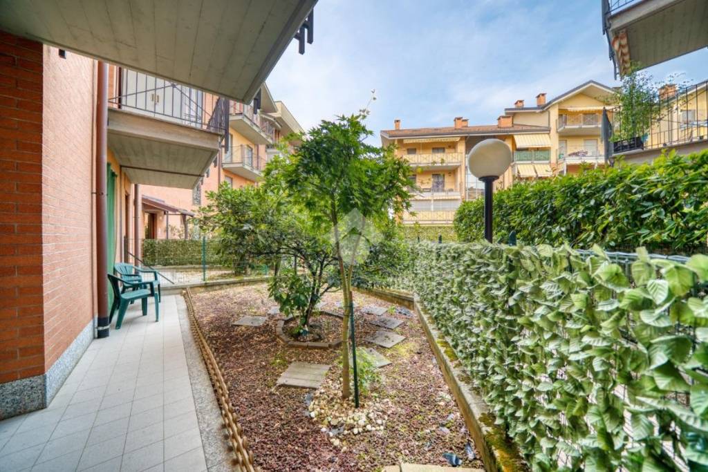 immagine annuncio 9 di 15