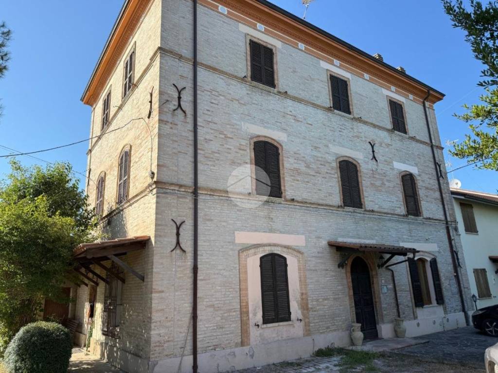 immagine annuncio 1 di 13