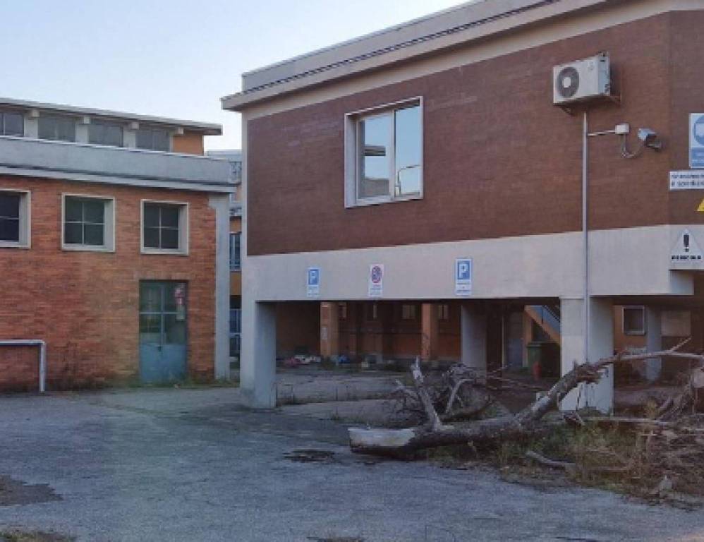 immagine annuncio 8 di 11