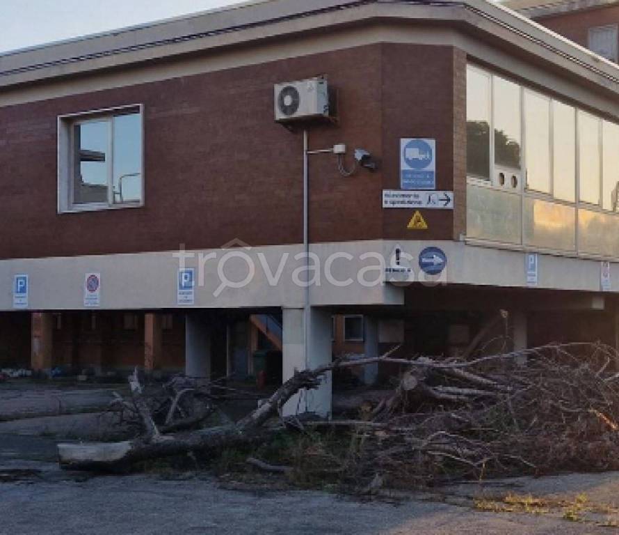 immagine annuncio 9 di 11